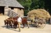16-sided barn designed for treading wheat