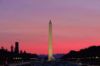 The Washington Monument