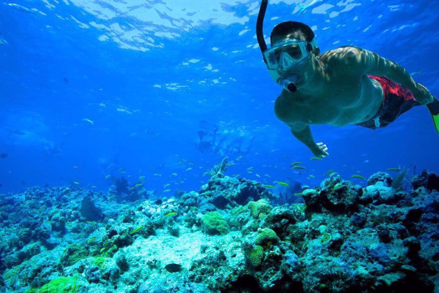 Fury Key West Snorkeling Discount Tickets