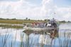 Sawgrass Recreation Park Everglades Tour