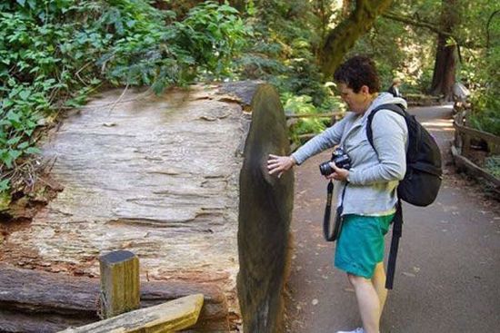 Enjoy up to 1.5 hours in the park