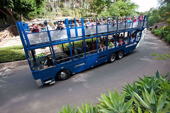 San Diego Zoo Express Bus 600x400