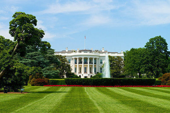 The White House 
