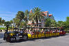 Conch Tour Train Key West-2 Day Pass
