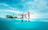 Picture of Clearwater Beach Marine Aquarium Adventure