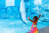 Picture of Clearwater Beach Marine Aquarium Adventure