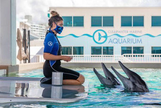 Picture of Clearwater Beach Marine Aquarium Adventure