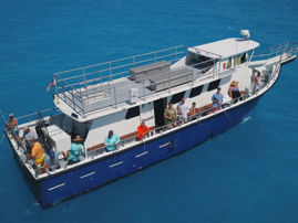 Picture of Gulfstream Party Boat Fishing Half Day Trip