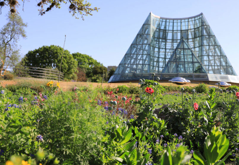 San Antonio Botanical Garden