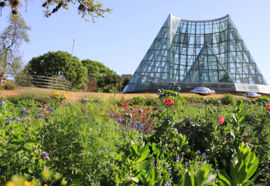 Picture of San Antonio Botanical Garden