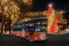 Picture of San Antonio Holiday Sights and Festive Nights