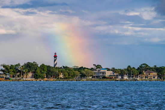 Picture of Fury Dolphin Watch and Historical Harbor Tour