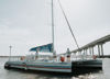 Picture of Fury Dolphin Watch and Historical Harbor Tour
