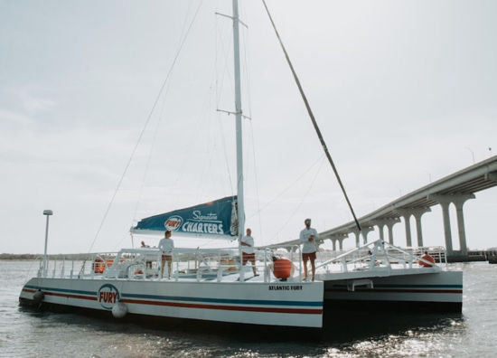 Picture of Fury Dolphin Watch and Historical Harbor Tour