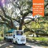 Picture of Magnolia Plantation Tour