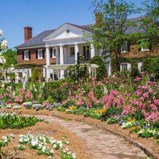 Picture of Boone Hall Plantation Tour