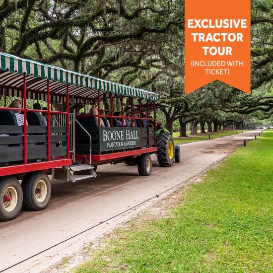 Picture of Boone Hall Plantation Tour