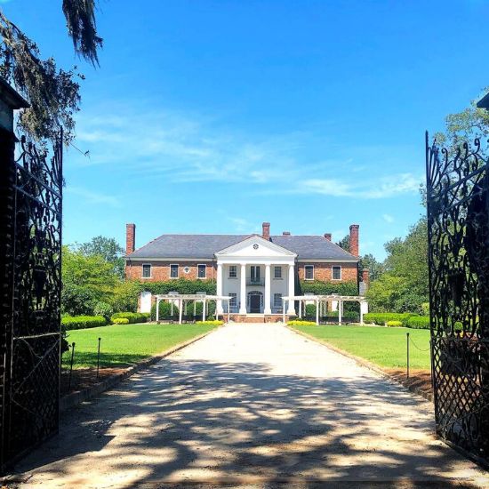 Picture of Boone Hall Plantation Tour