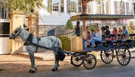Picture of Horse and Carriage Tour