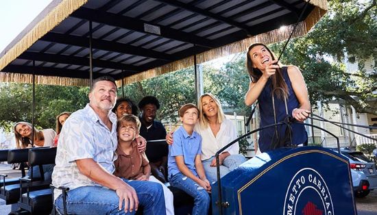 Picture of Horse and Carriage Tour