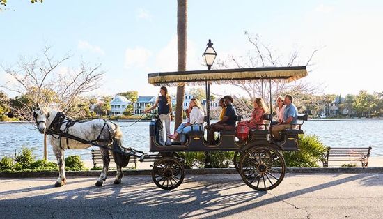 Picture of Horse and Carriage Tour