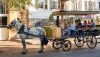 Picture of Horse and Carriage Haunted Ghost Tour