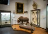 Picture of The Charleston Museum