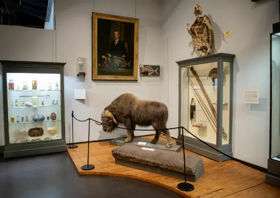 Picture of The Charleston Museum