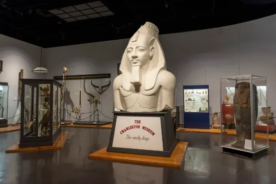 Picture of The Charleston Museum
