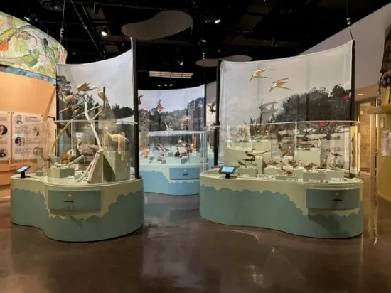 Picture of The Charleston Museum