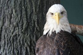 Picture of South Carolina Aquarium