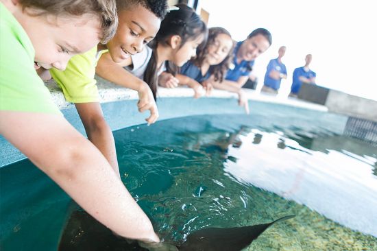 Picture of South Carolina Aquarium