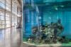 Picture of South Carolina Aquarium