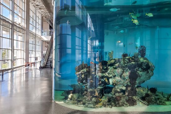 Picture of South Carolina Aquarium