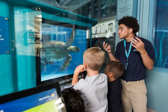 Picture of South Carolina Aquarium