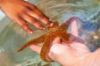 Picture of South Carolina Aquarium