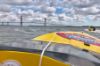 Picture of Charleston Speed Boat Adventure Tour - Single Passenger