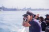 Picture of Whale and Dolphin Watching Adventures
