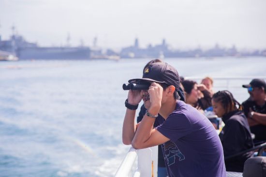 Picture of Whale and Dolphin Watching Adventures