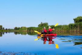 Picture of Fury Scenic Cruise & Guided Kayak Tour