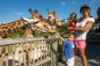 Picture of Zoo Miami