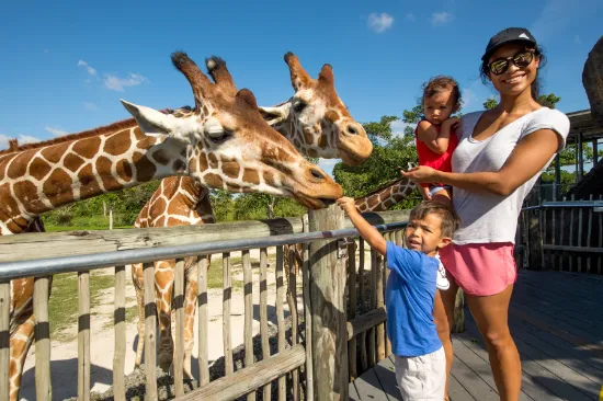 Picture of Zoo Miami