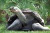 Picture of Zoo Miami