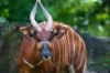 Picture of Zoo Miami