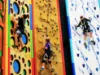 Picture of Liggettville Ropes Course and Climbing Walls