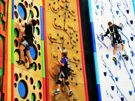 Picture of Liggettville Ropes Course and Climbing Walls