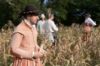 Picture of Mayflower II and the Plimoth Patuxet Museums