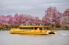 Picture of Water Taxi Wharf to Georgetown One Way - Weekend