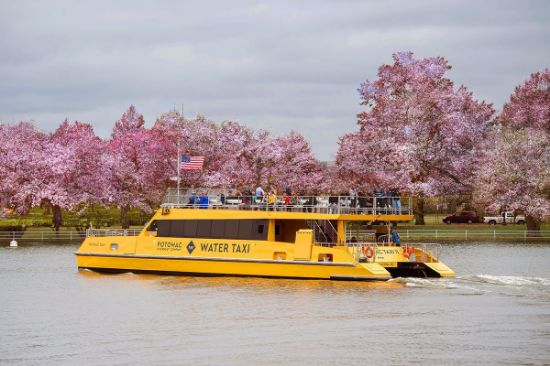 Picture of Water Taxi Wharf to Georgetown One Way - Weekend
