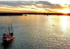 Picture of Tropical Sunset Cruise aboard the Black Raven Pirate Ship